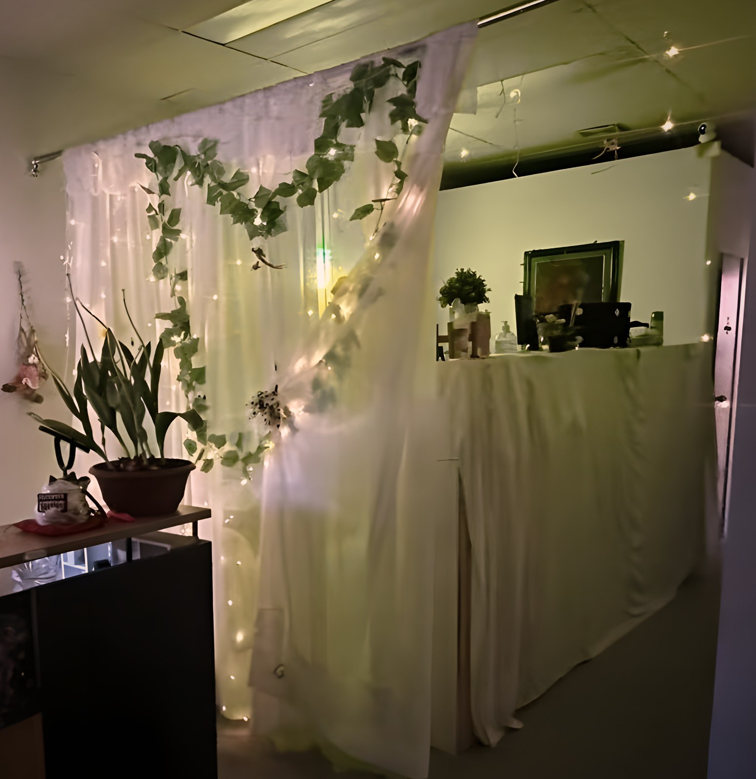 Reception with a fairy-light curtain and plants